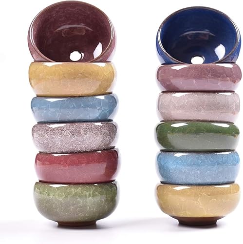 My Decor - Maceta para suculentas, 12 piezas de cerámica de 2.5 pulgadas, maceta de cactus con grietas de hielo, maceta, contenedor, maceta