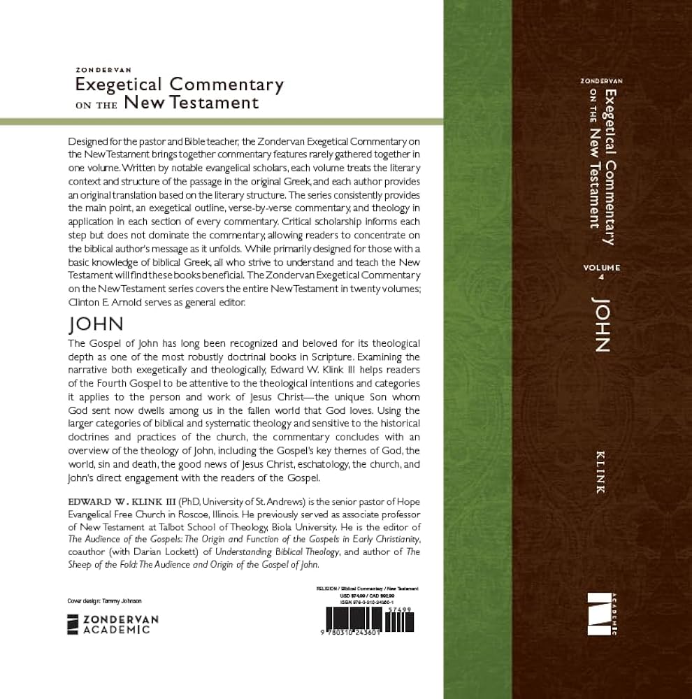 John (4) (Zondervan Exegetical Commentary on the New