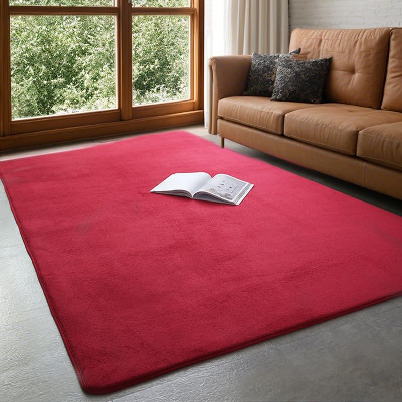 Tapis salon flanelle grande surface 120x160cm tapis rectangulaire chambre