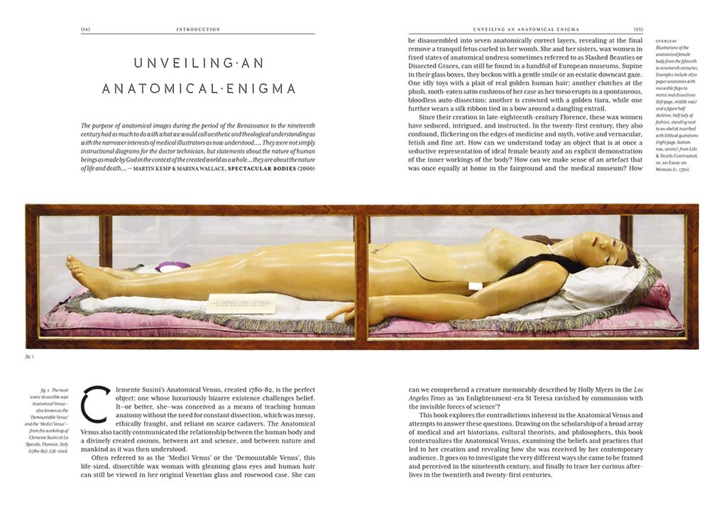 The Anatomical Venus: Wax / Sex / God / Death