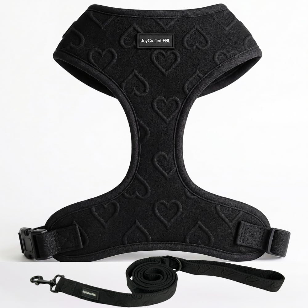 JoyCrafted-FBL No Pull Dog Harness & Leash Set | Lightweight Breathable Neoprene, Cute Heart Pattern, Adjustable Step-In Vest,Soft Padded with Back