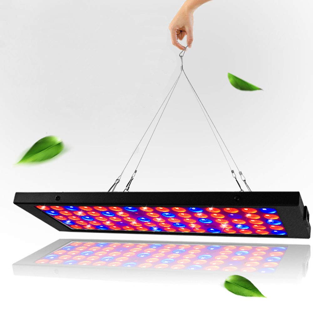 HomeLava Lampara LED Cultivo para Plantas de Interior Iluminación, Lámpara de Cultivo de Espectro Completo de Tipo Solar de 100W con Azul y Rojo Perlas de la Lámpara LED, Placa Negro Ultrafino