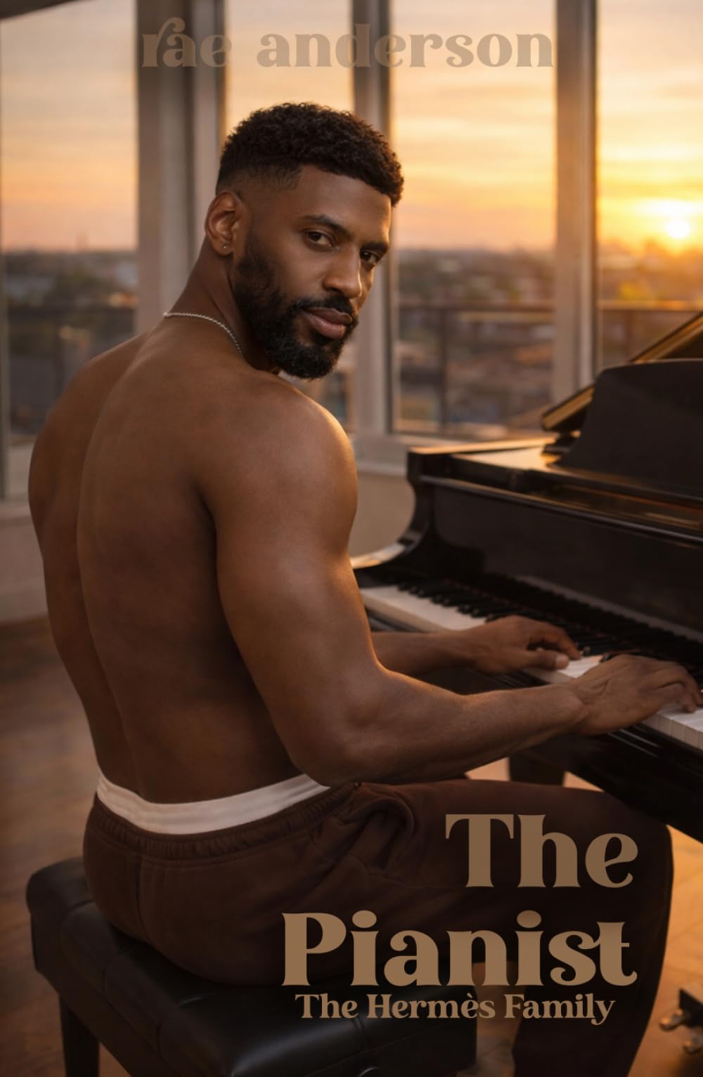 The Pianist (The Hermès Family)