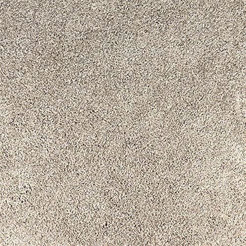 Peak Performance Carpet Tiles with Cushion
