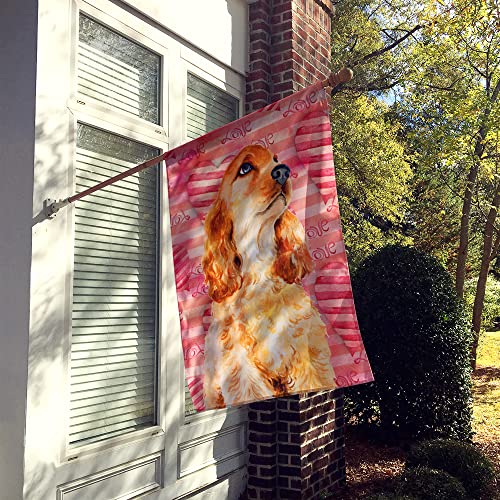 Drapeau multicolore cocker spaniel grand format L pour décoration extérieure jardin