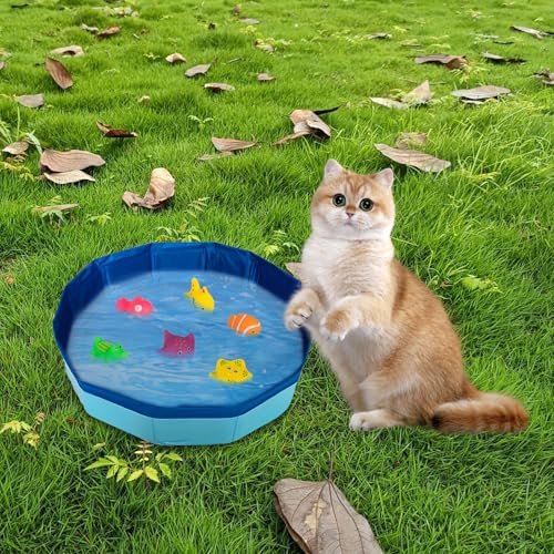 Katzen Pool 30x10cm, Faltbare Katzenpool mit 6 Fischen, Mini Pool für Katzen Hunde, Swimmingpool Welpe, Planschbecken für Katze Hundebadewanne, Minipool Hund für Sommer (A)
