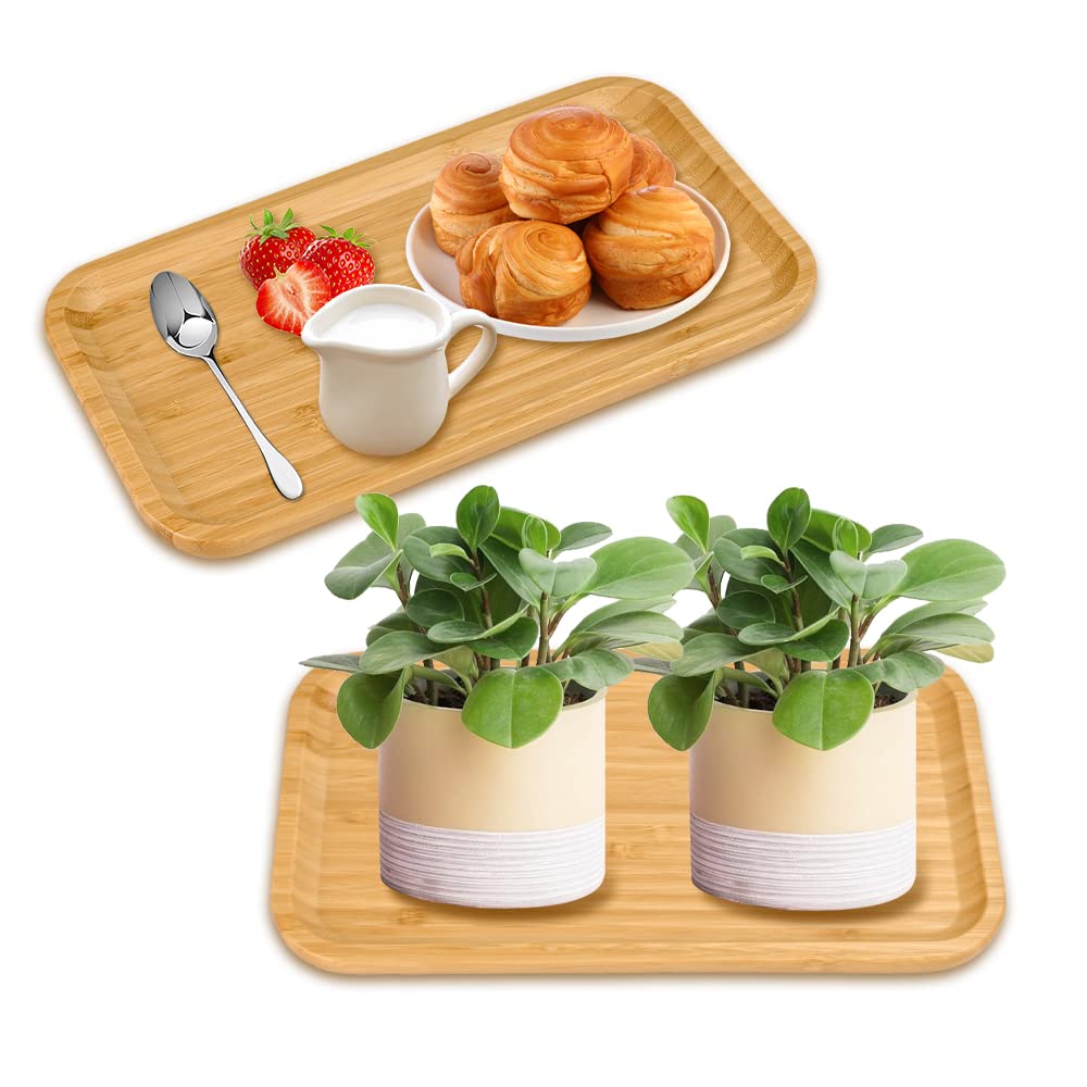 2 Pcs Bamboo Tray 29 * 16 * 2cm Rectangular Serving Tray Flower Plant Succulent Pot Holder Succulent Planter Trays Wood Serving Platter for Serving Pastries Snacks Chocolate Succulent Cactus