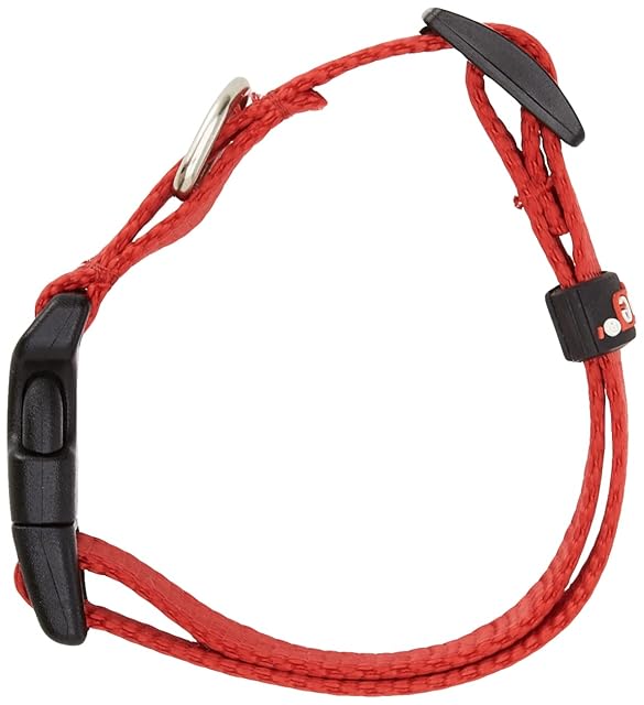 Foto 3 de 4 de Arppe 2240012501 - Collar Nylon Basic, Rojo, S, 1 unidad