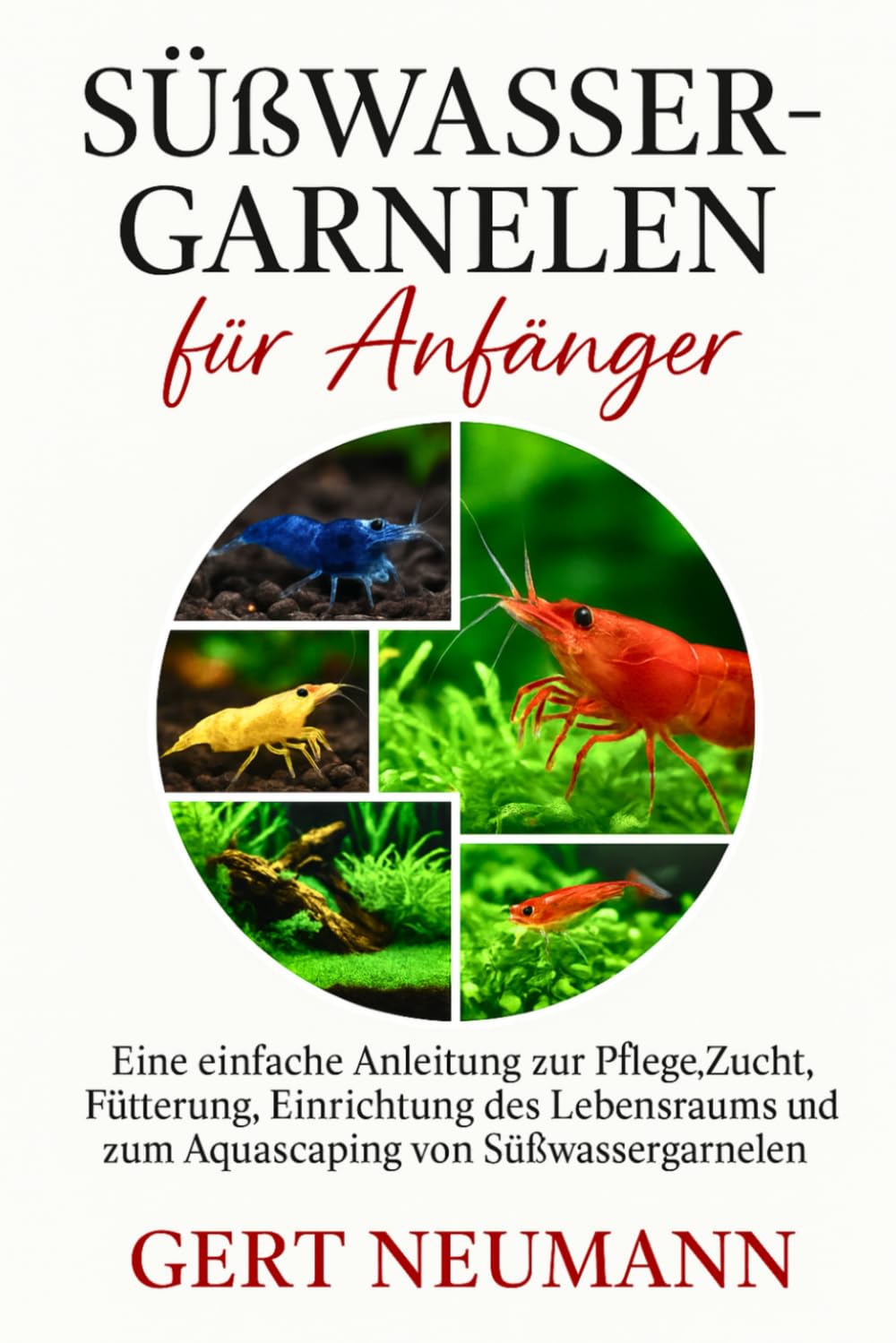 Süßwassergarnelen für Anfänger: Eine einfache Anleitung zur Pflege, Zucht, Fütterung, Einrichtung des Lebensraums und zum Aquascaping von Süßwassergarnelen