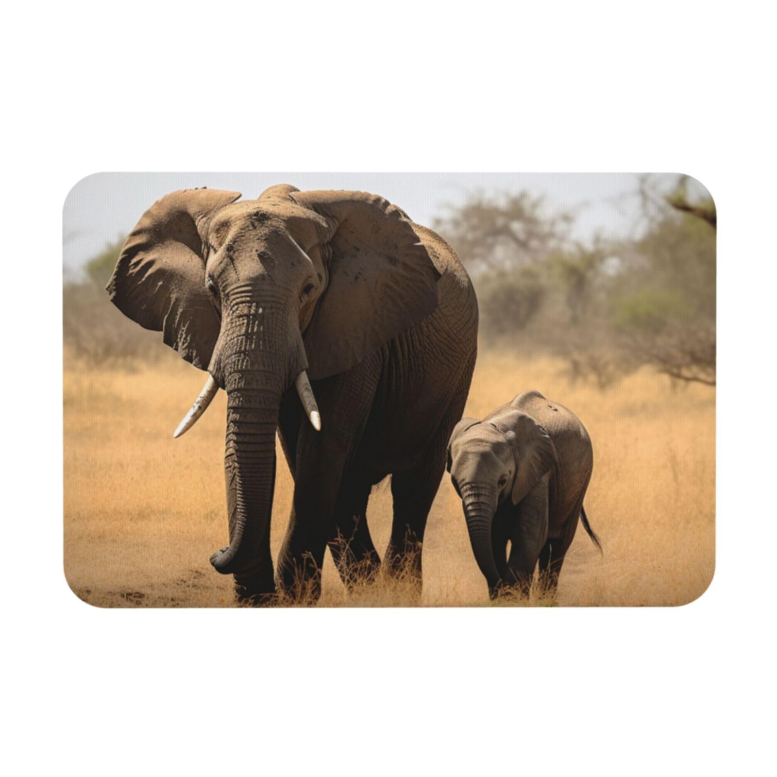 Tapis de bain en pierre de diatomée 60x40 cm avec motif éléphants