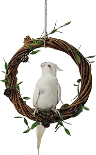Round Bird Swing, Natural Willow Branch Chewing Bird Toys, Hanging Climbing Cage Parrot Perch Play Stands for Small Parrots Lovebirds Conures Parakeets (Large)