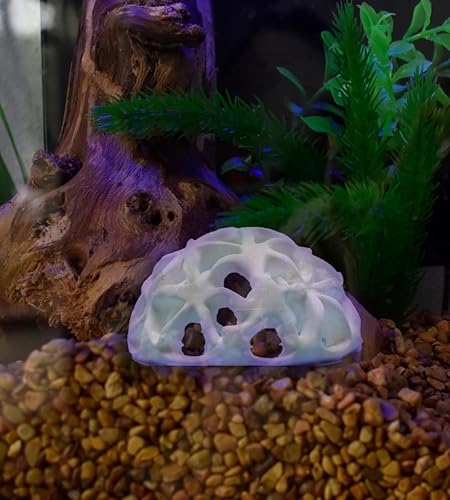 Miniatura 6 de Chatelet REEFSHAPE - Escondite para acuario de peces o camarones  Decoración de arrecifes de acuario y cúpula de observación  Fabricado en Estados