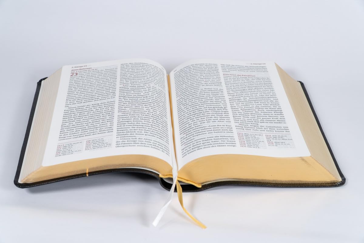 Neues Leben. Die Bibel, Standardausgabe, Leder mit Goldschnitt