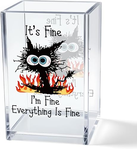 Vgrti It's Fine I'm Fine Soporte para Lápices y Bolígrafos Cosméticos de Acrílico, Divertido Soporte para Bolígrafos de Gato Negro, Regalo para