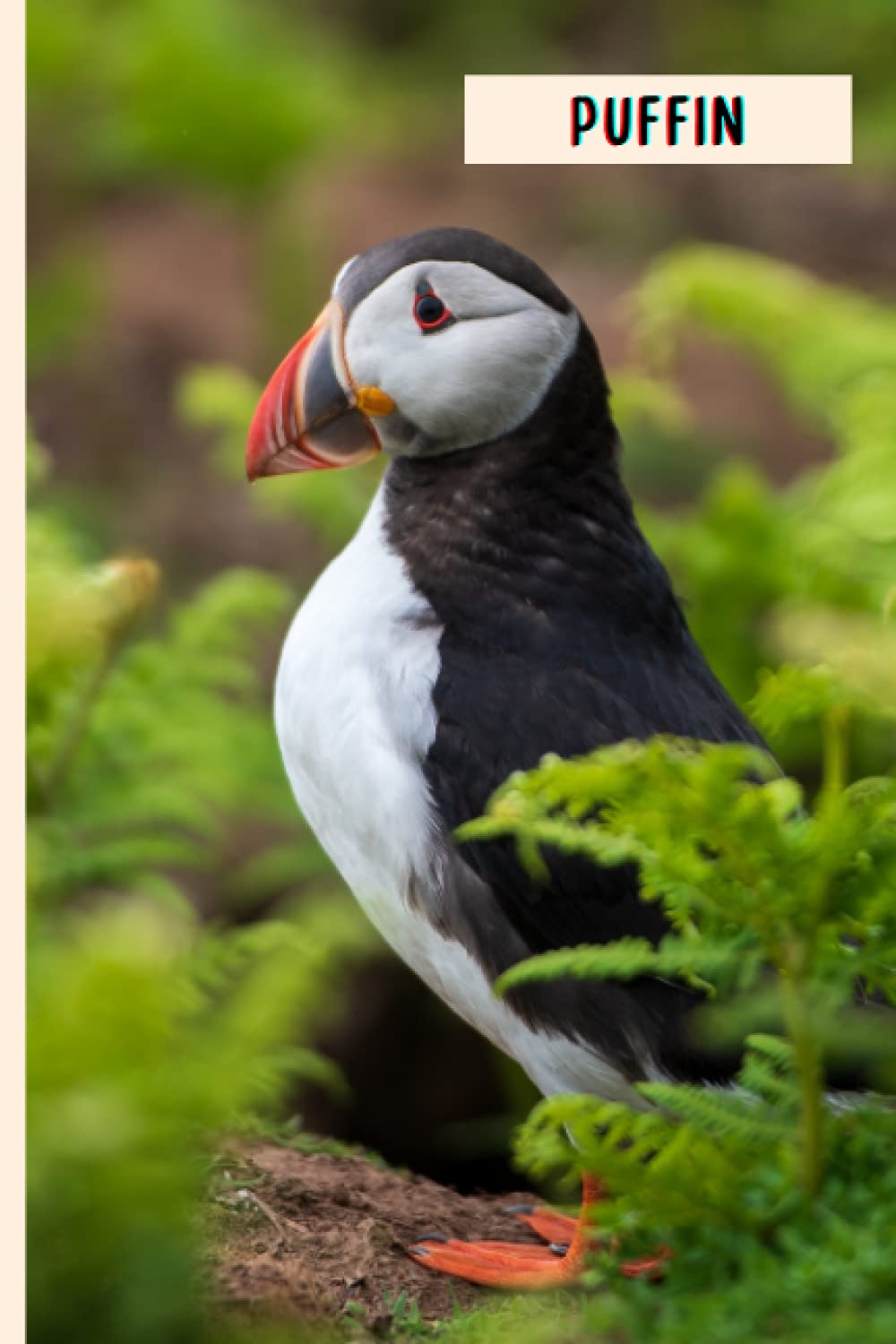 Puffin: Composition Notebook For Puffin Lovers , Puffin Lined Journal ,6x9 Inches , 110 Pages ,Puffin Diary