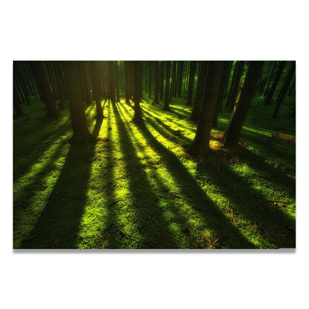VHdfgTY The Shadow Of The WoodsMinimalist Mountain Landscape Wall Art Canvas Nature Print Modern Decor 20x30cm Unframed