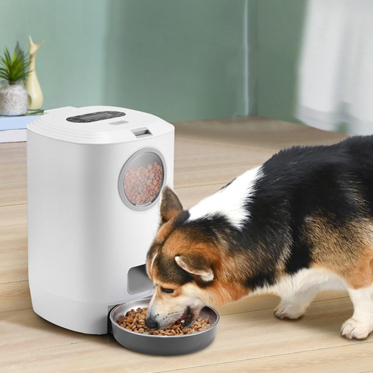 Comedero Automático para Mascotas Comedero Inteligente para Mascotas 4,5 L 4 Comidas Grabación de Voz USB Blanco Abs Acero Inoxidable y PC para Gatos