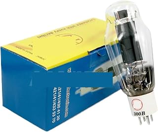 300B Vacuum Tube Precision Matching Electron Tube(2 pcs)