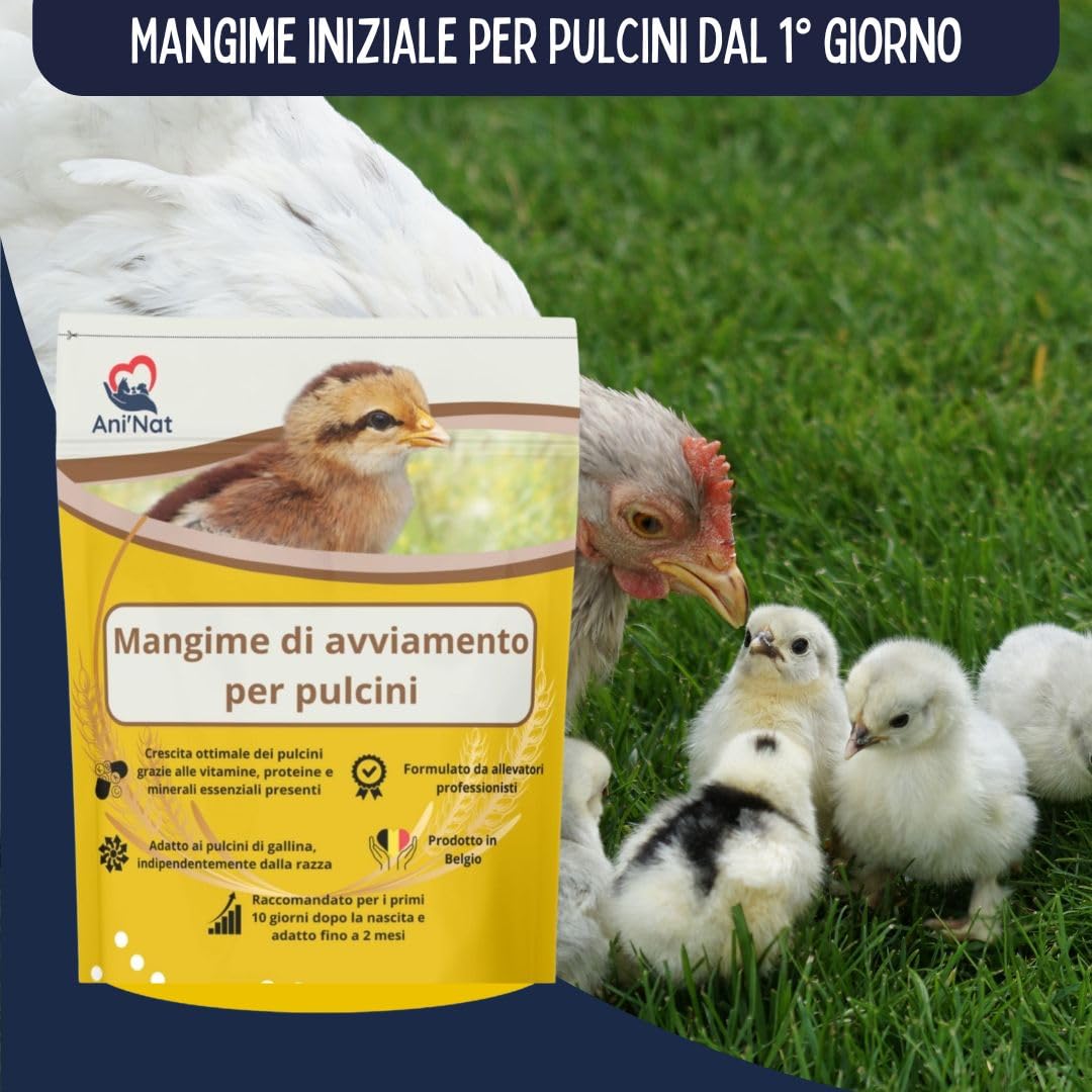 AniNat Alimento starter per pulcini, Cibo 1 ° età con vitamine, proteine e minerali, oli essenziali. Adatto fin dalla nascita. (1,8 kg) (1800 grammi)