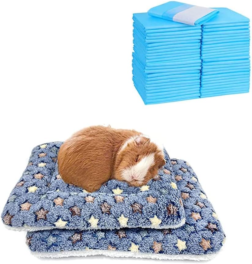 2 Pack of Square Plush Guinea Pig Beds Size M & 50 Pcs