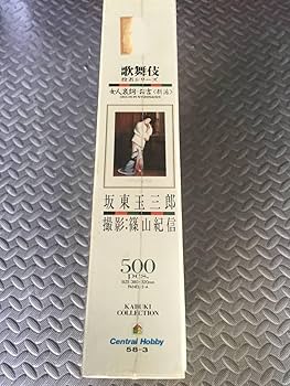 Amazon | 坂東玉三郎 篠山紀信 女人哀詞 お吉 新派 歌舞伎 役者