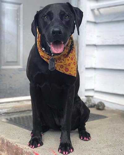 Miniatura 20 de Lápiz de pedicura Warren London Pawdicure, esmalte de uñas para perro, paquete de de 1, Rosado Rosado,Negro -,Oro,Anaranjado Neón,Rosa neón,Púrpura