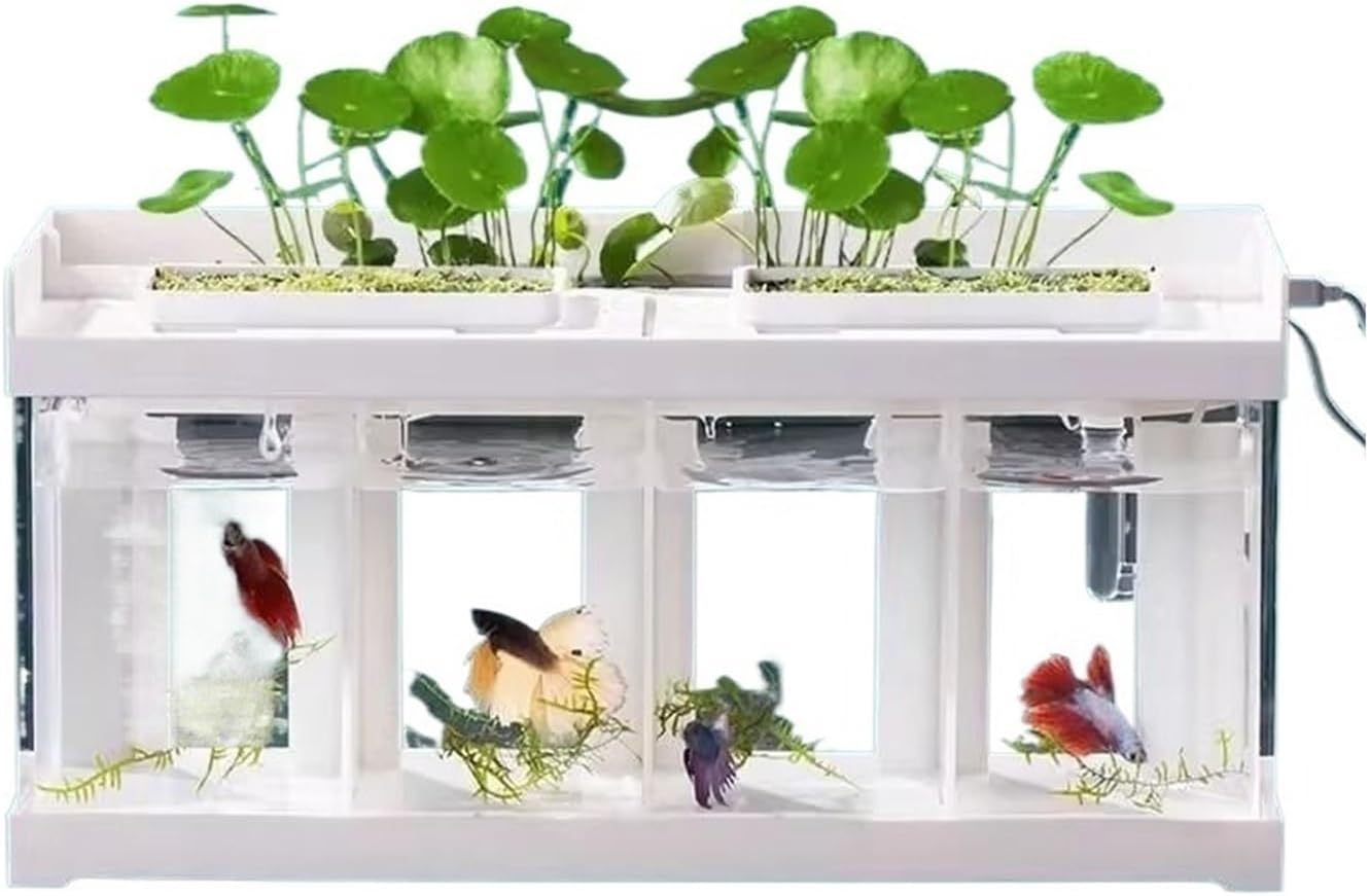 Aquariums Fish Bowl 4 Compartments Acrylic Transparent Fish Tank Desktop Marine Fish Breeding Special Tank Creative Fighting Fish Aquarium with White Cover Fish Tanks