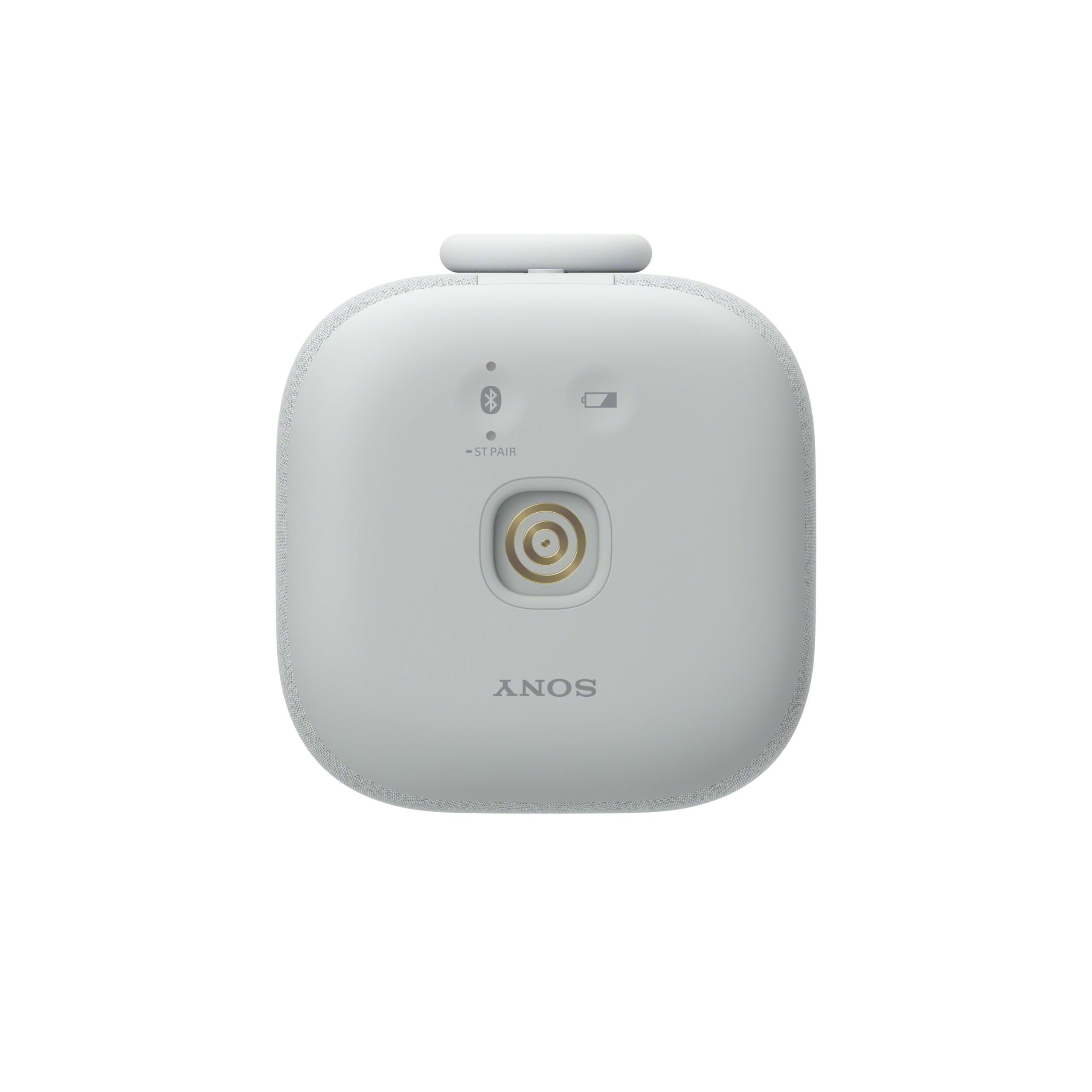 Sony LinkBuds Speaker przenośny bezprzewodowy głośnik Bluetooth ze stacją ładującą, IPX4, wodoodporny, 25-godzinny akumulator, jakość dzwonka, głośnik domowy, szary