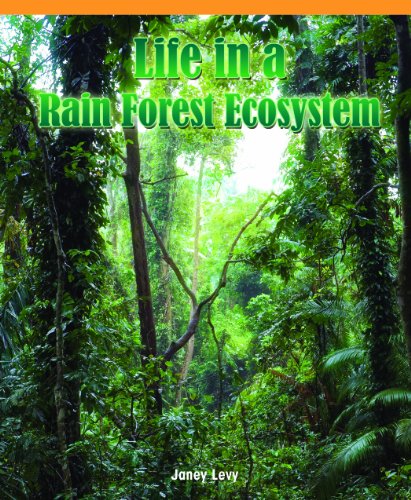 Life in a Rain Forest Ecosystem
