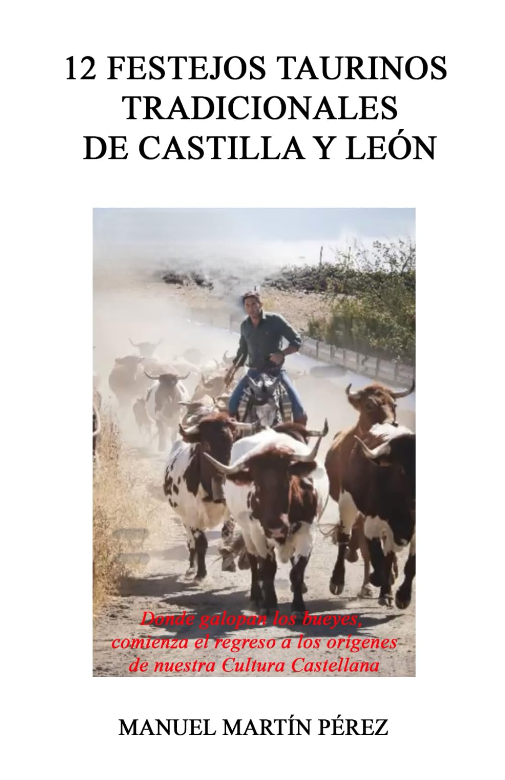 12 FESTEJOS TAURINOS TRADICIONALES DE CASTILLA Y LEÓN (FESTEJOS TAURINOS POPULARES EN LA PENÍNSULA IBERICA)