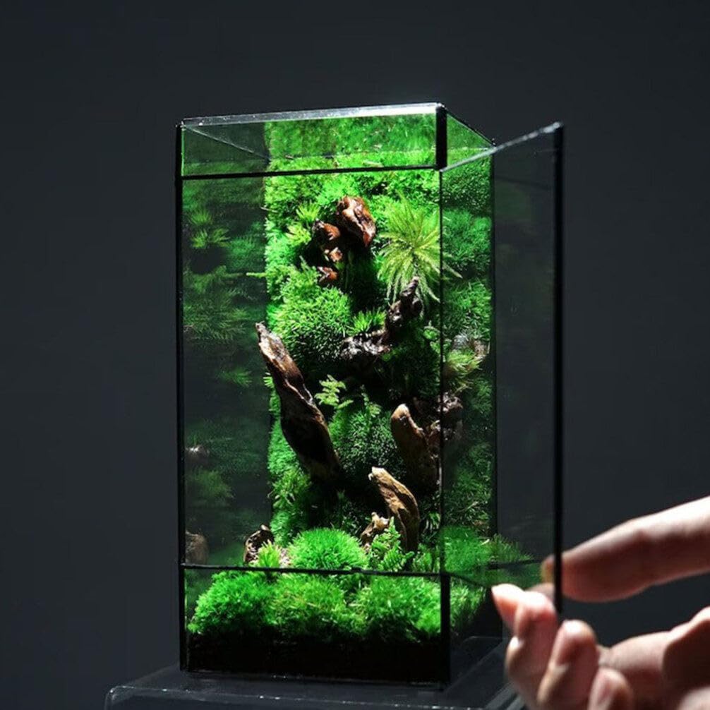 BESPORTBLE Rectangle Glass Terrarium with Door, Succulent Air Planter Clear Glass Container DIY Flower Plant Terrarium Plants Holder Micro Landscape for Tabletop Vase Decoration