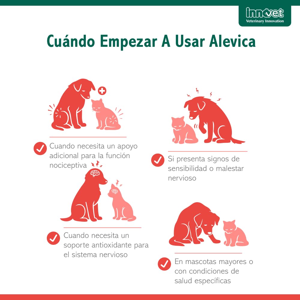 Innovet Alevica Suplemento para el Sistema Nervioso para Perros y Gatos 20 Comprimidos Masticables – con PEA-q y Quercetina – Apoya el Equilibrio Neurológico