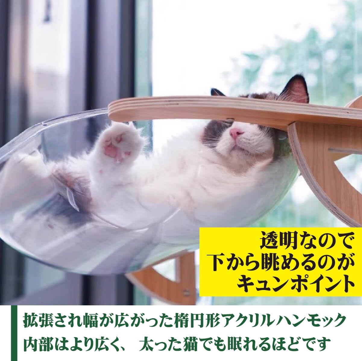 Amazon.co.jp: 猫用ベッド JOYCATアクリルエリプス MR-PETJC-090 自由