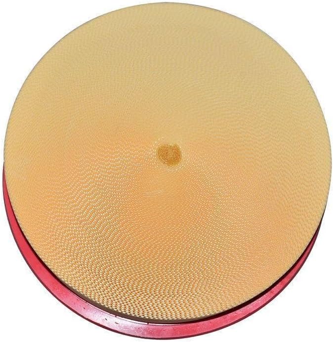 Air Filter Element 1621138900 1621-1389-99 1621-1389-00 1621138999 Compatible with Air Compressors ZR300-ZR400 ZR250