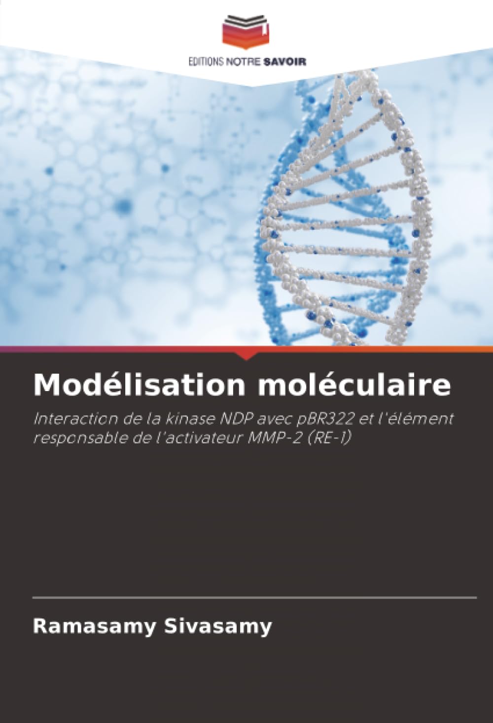 Modélisation moléculaire: Interaction de la kinase NDP avec pBR322 et l'élément responsable de l'activateur MMP-2 (RE-1)