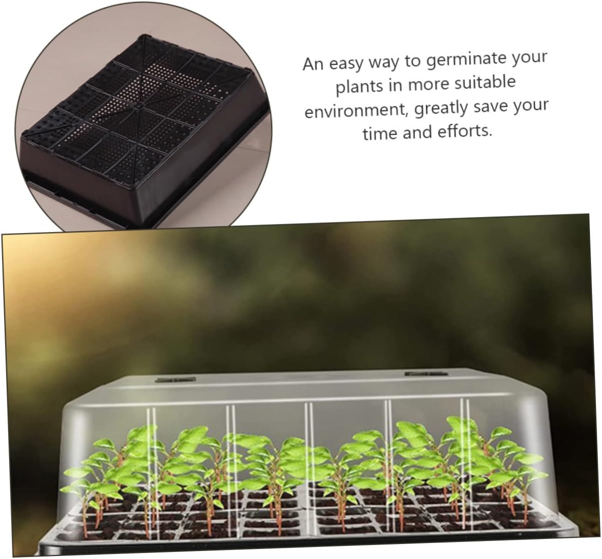 1 Tray Durable Plastic Plant Trays for Germination for Home Farm Greenhouse Flower Shop Use Simple Design Versatile Applications