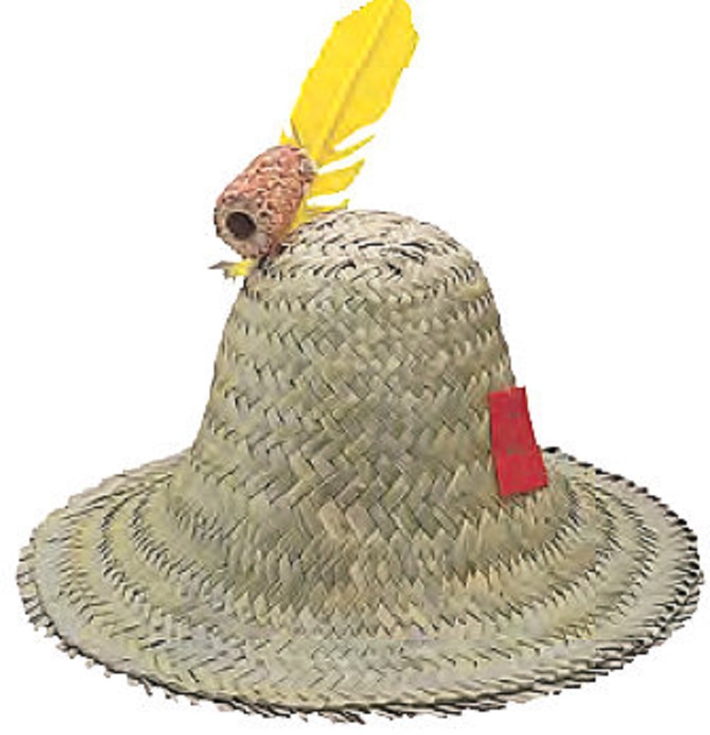 Adult Hillbilly Farmer Pilgrim Mexican Straw Hat Costume Accessory