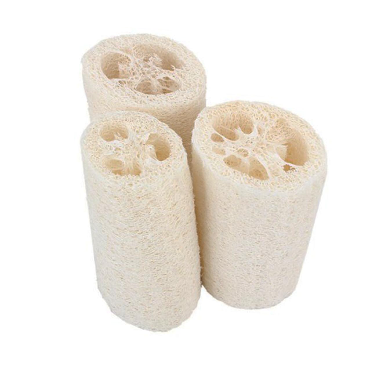 FRCOLOR 10piezas Esponjas De Luffa Natural Para Baño De Exfoliantes Para y Limpieza Del Estimula La Circulación y Suaviza