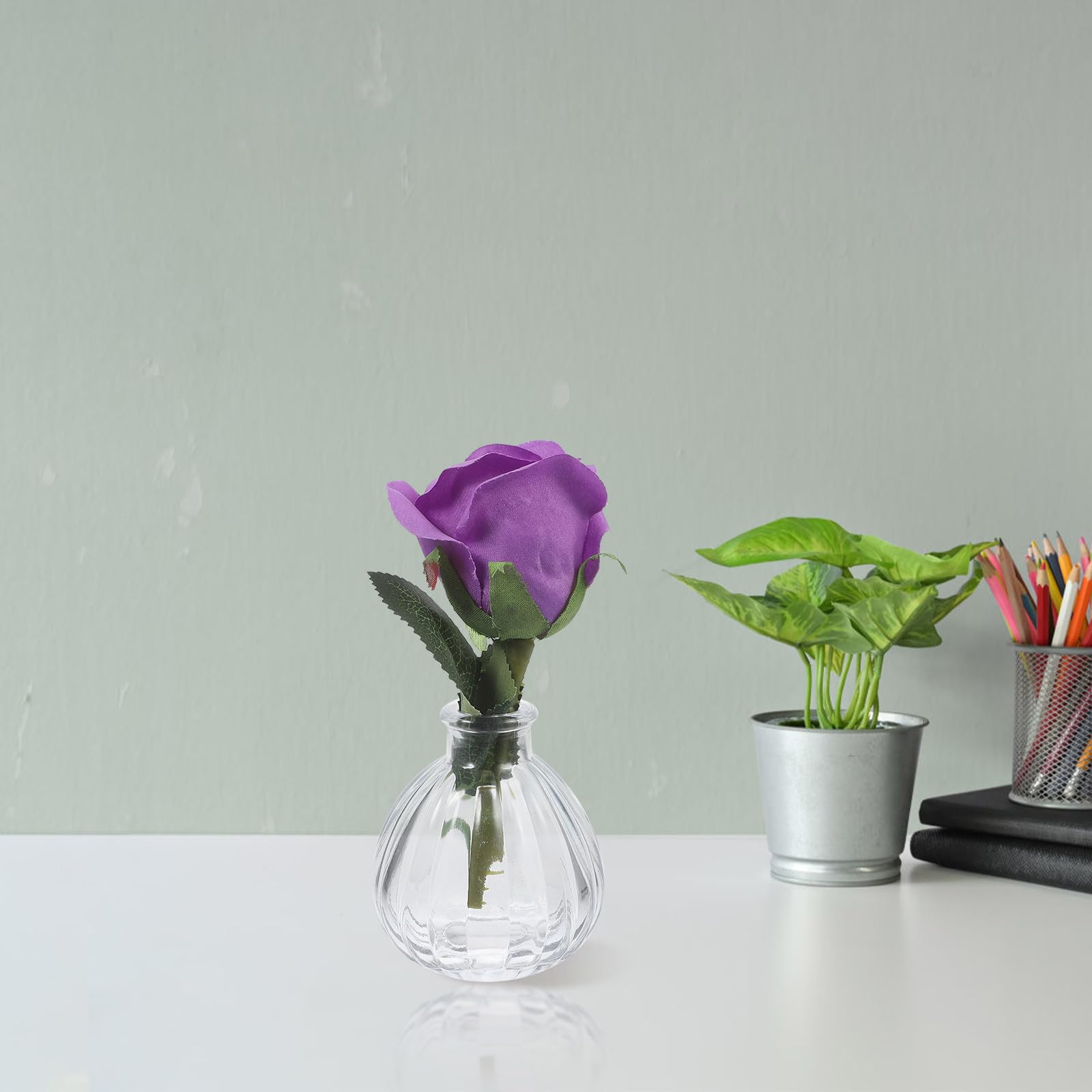 5 Piezas Florero de Vidrio Pequeño, Decorativo y Elegante