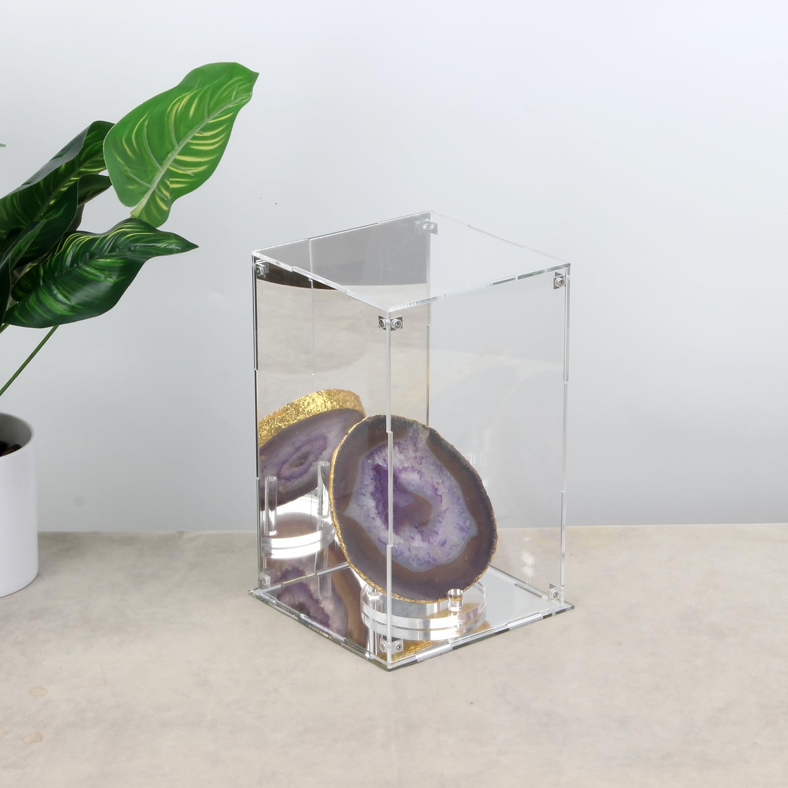 Caja de acrílico Transparente con Parte Trasera y Base de Espejo, Vitrina extraíble con Tapa para coleccionables, Caja de Almacenamiento Decorativa para Mostrar Figuras de acción, Juguetes