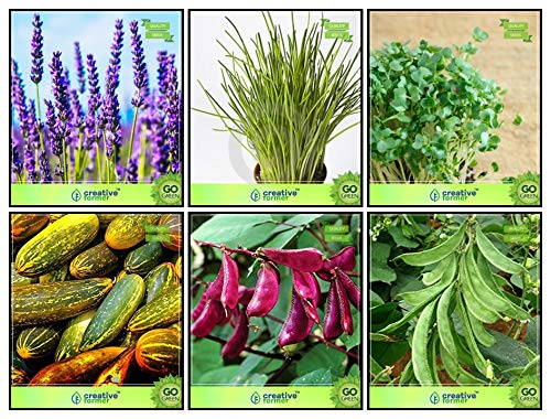 Creative Farmer Summer Seeds Combo Vegetable Seeds & Herb Seeds : Lavender, Garlic Chives, Water Cress, Cowpea (Anaswara), Cucumber Sambar, Dolichus Beans (Grace) Kitchen Garden Pack