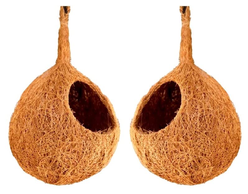 ZENRISE® Extra Large Sphere Hanging Birds nest Made of Natural Coconut Fiber (Set of 2, 20x16 cm, Beige) (B01N5MJDPQ) Amazon Price History, Amazon Price Tracker