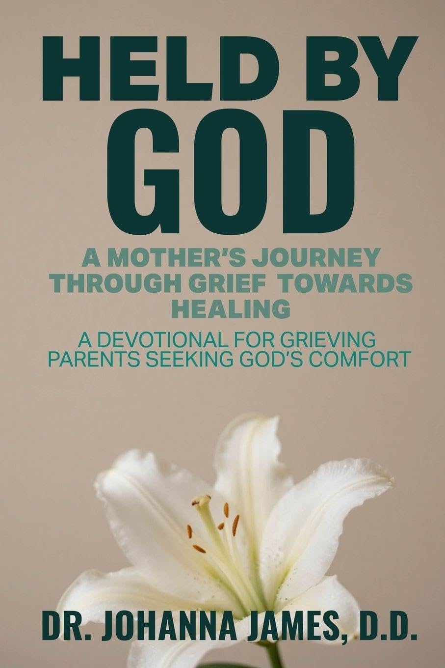 Held by God: A Mother's Journey through Grief toward Healing: A devotional for grieving parents seeking God's comfort.