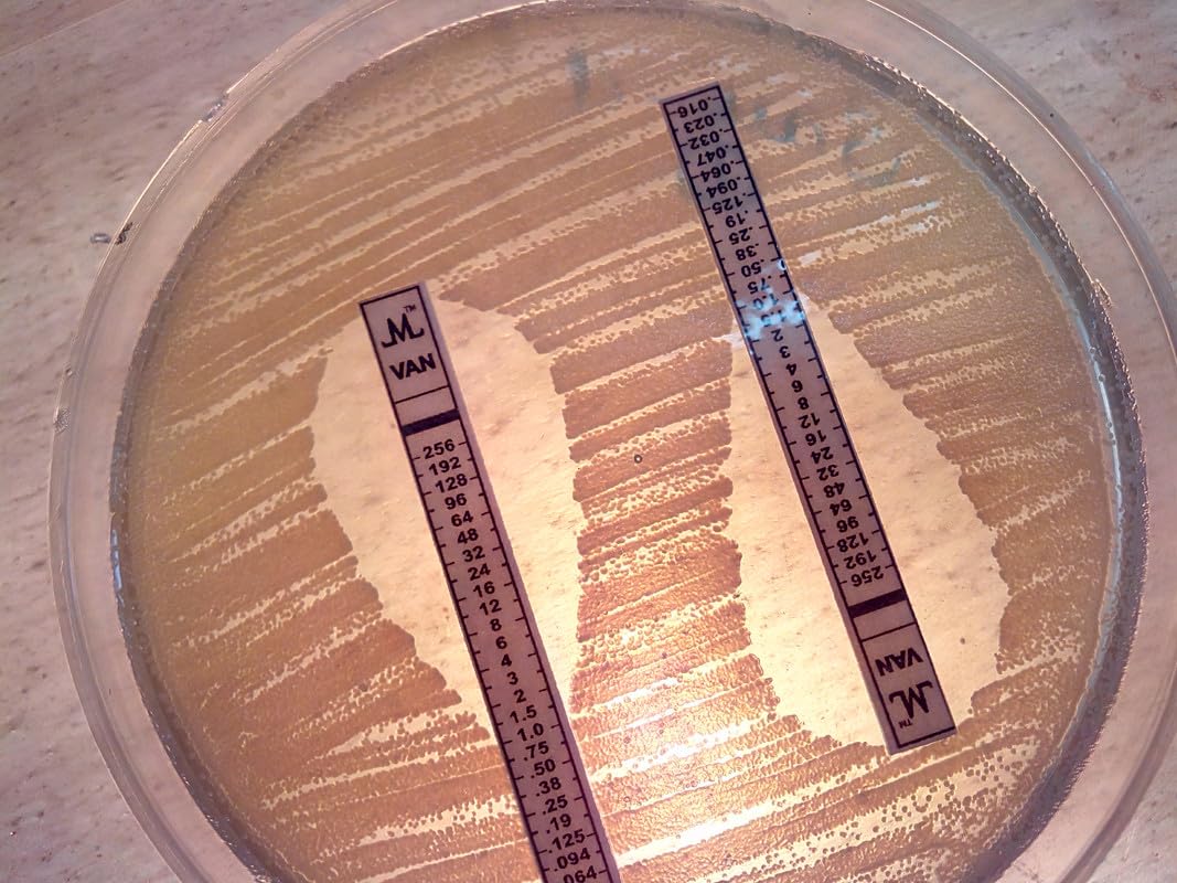 Antimicrobial Susceptibility MIC Test Strips -Reliable, Ready-to-Use Gradient Diffusion Strips for Accurate MIC Testing (for Clinical Microbiology & Research) |VAN 0.016-256_1