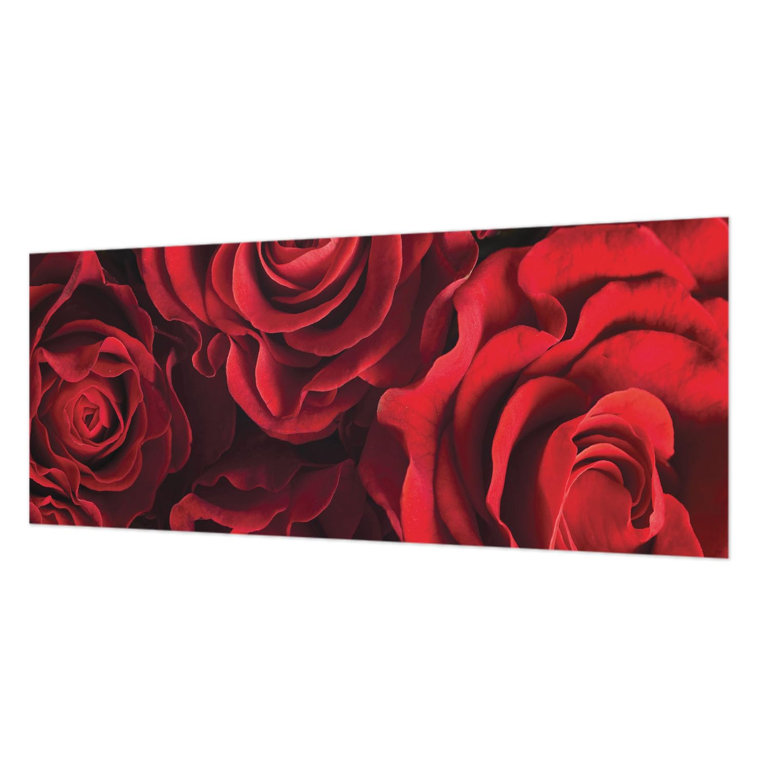 Tapisserie intissée facile à nettoyer impression haute qualité 250x104 cm
