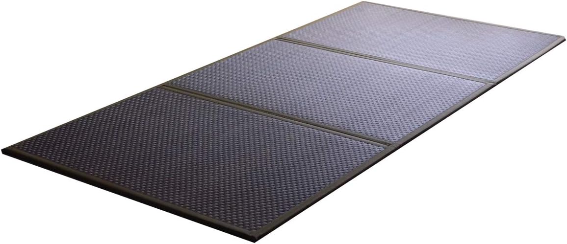 IKEHIKO Tatami Mattress Japanese Rush Grass Floor Futon Mat Yoga Simple Brown Made in Japan 1341 (80×210cm)