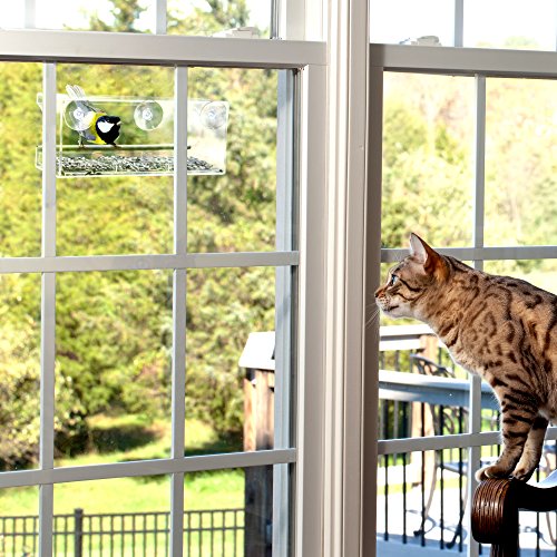 Window Bird Feeder - Transparent Acrylic Design - Wild Bird Feeder - Strong Suction Cups for Easy Outside Installation - Squirrel proof Bird Feeder for Kitchen or Living room Window