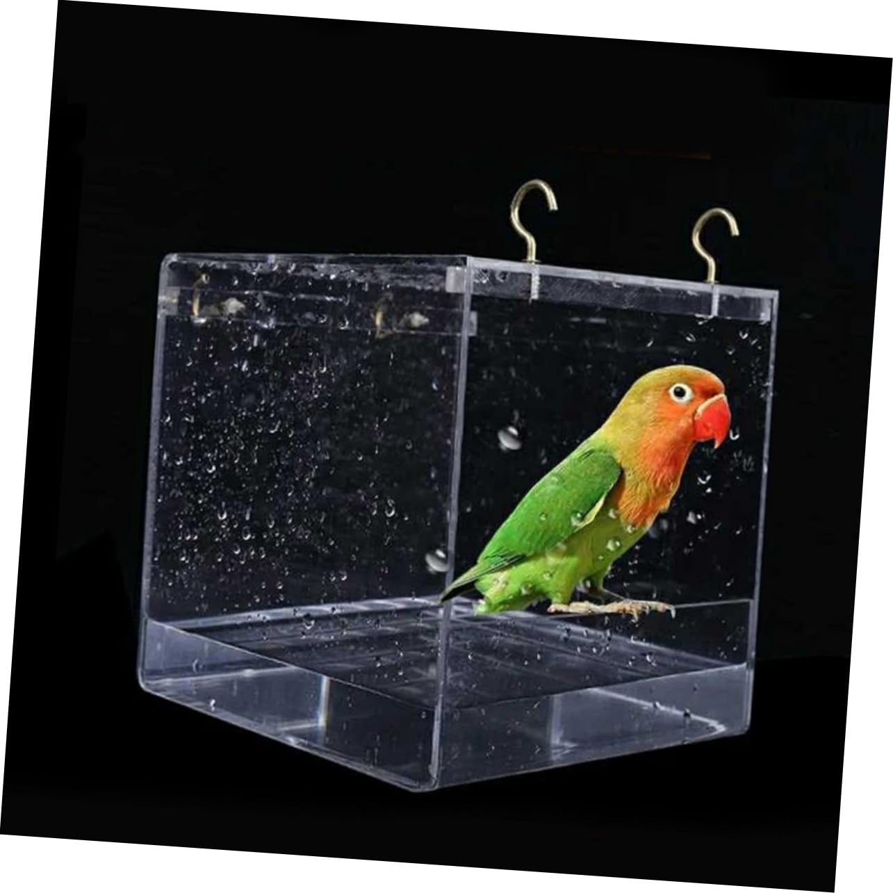 Beaupretty Árbol bonsái para Acuario. Accesorios para bañera para pajaros Bird Bath Jaula de baño para pájaros baño de Loros Cubierto Aves Tina de baño Loro peonía Loro Suministros