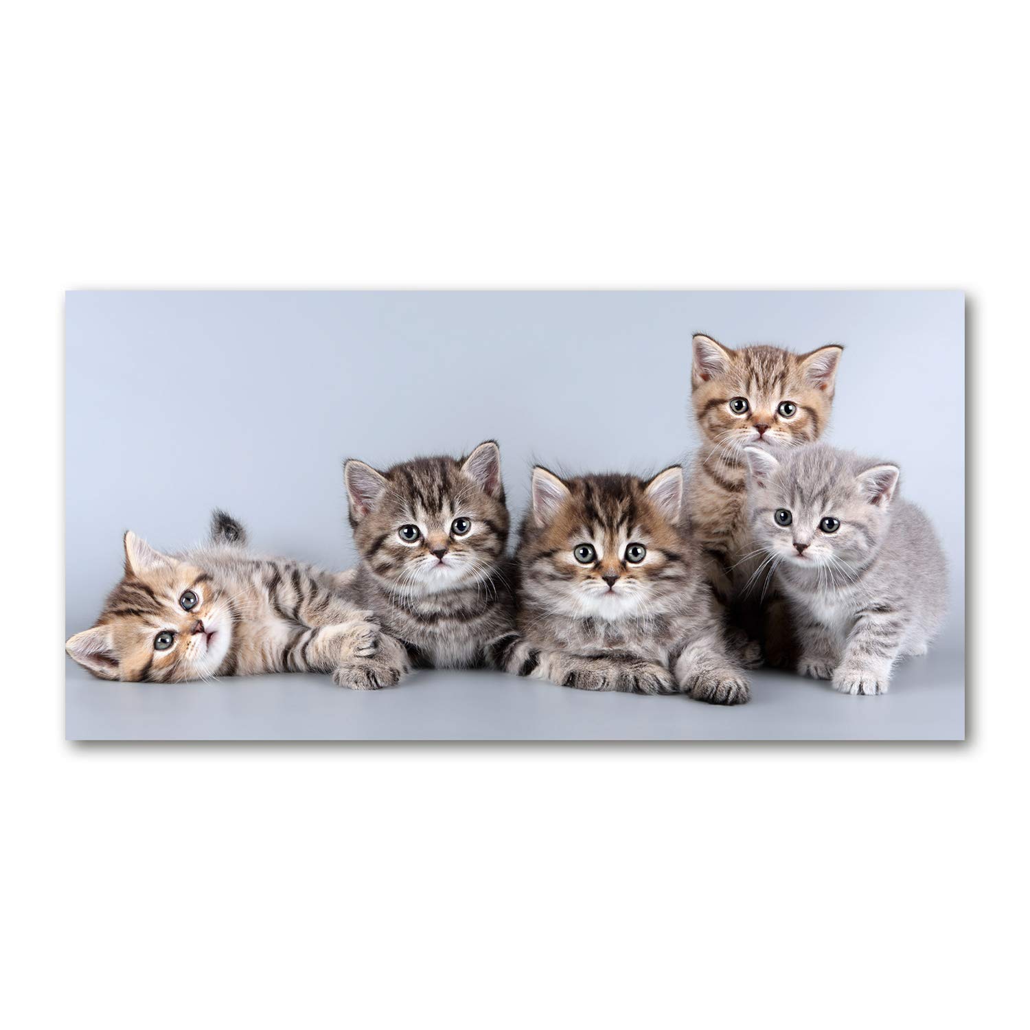 Image verre plastique Cinco Gatos Tulup pour créer une ambiance chaleureuse