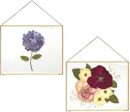 Beedecor Marco doble de vidrio para flores prensadas, fotos y obras de arte, juego de 2 marcos grandes para colgar fotos, marco flotante para
